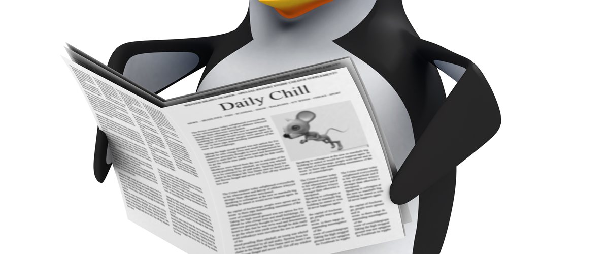 Google Core Update 2024 – Google Penguin Algorithmus liest Zeitung