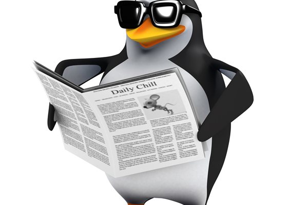 Google Core Update Penguin – Algorithmus-Update für Linkbuilder